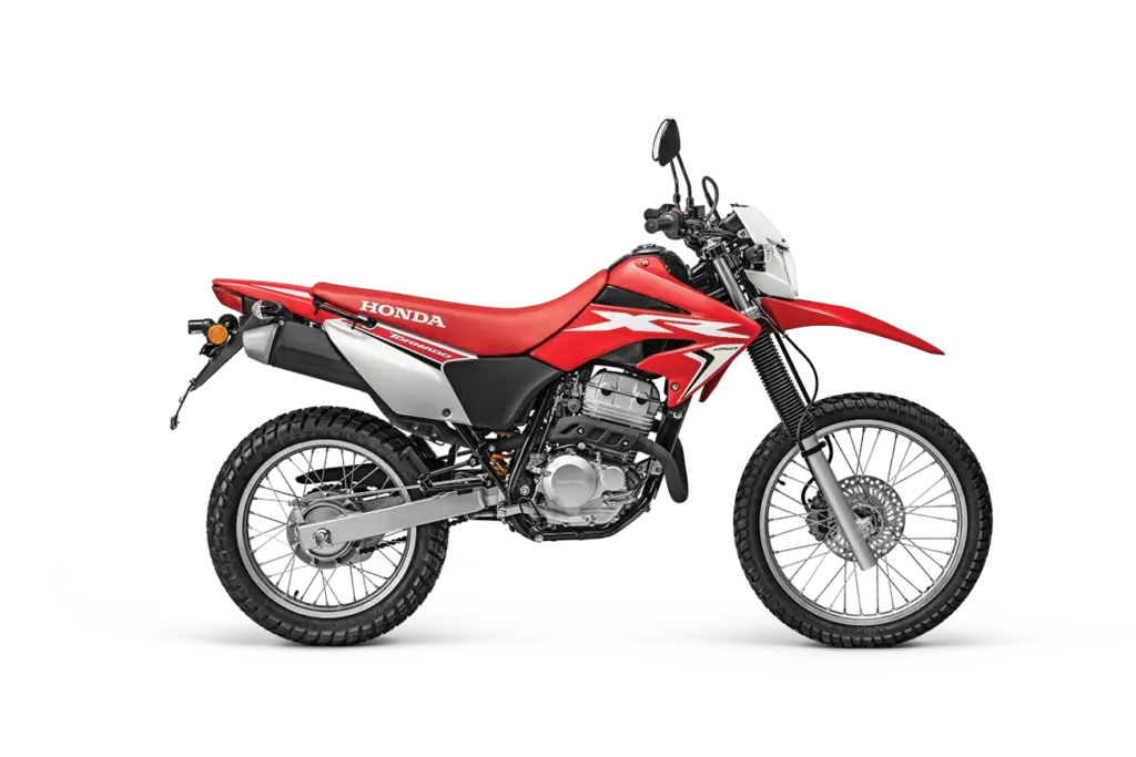 XR300 Tornado 2025